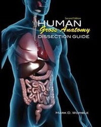 Abbildung von: Human Gross Anatomy Dissection Guide for Physical Therapy Students - Kendall/Hunt Publishing Co ,U.S.
