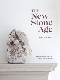 Enlarge image Cover: The New Stone Age - Ten Speed Press