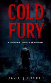 Enlarge image Cover: Cold Fury - David J Cooper