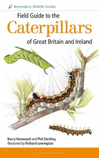 Abbildung von: Field Guide to the Caterpillars of Great Britain and Ireland - Bloomsbury Wildlife