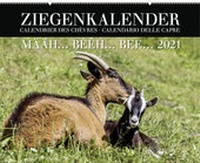 Abbildung von: Ziegenkalender / Calendrier des chèvres / Calendario delle capre 2021 - Weber Verlag AG