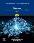 Cover: Glaucoma: A Neurodegenerative Disease of the Retina and Beyond: Part A: Volume 256 - Elsevier