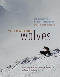 Enlarge image Cover: Yellowstone Wolves - University of Chicago Press
