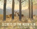 Cover: Secrets of the Mountain - Little Tiger