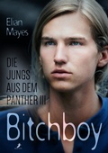Cover: Die Jungs aus dem Panther 3: Bitchboy - dead soft verlag