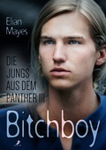Cover: Die Jungs aus dem Panther 3: Bitchboy - Dead Soft Verlag