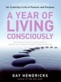 Cover: Year of Living Consciously - HarperCollins
