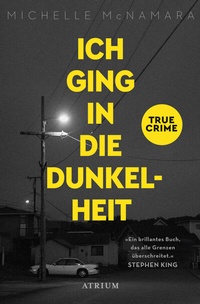 Abbildung von: Ich ging in die Dunkelheit - Atrium Verlag AG
