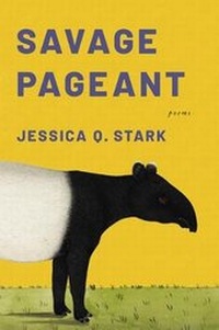 Enlarge image Cover: Savage Pageant - Birds