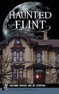 Enlarge image Cover: Haunted Flint - History Press Library Editions
