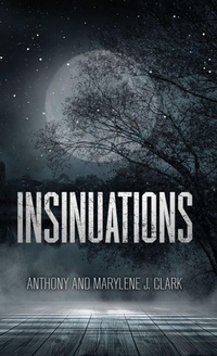 Enlarge image Cover: Insinuations - Xulon Press