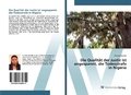 Cover: Die Qualit&auml;t der Justiz ist angespannt, die Todesstrafe in Nigeria - AV Akademikerverlag