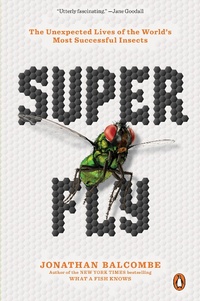 Enlarge image Cover: Super Fly - Plume