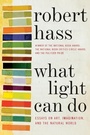 Cover: What Light Can Do - Ecco Press