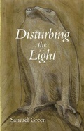 Cover: Disturbing the Light - Carnegie-Mellon University Press