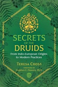 Abbildung von: Secrets of the Druids - Inner Traditions Bear and Company