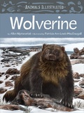 Cover: Animals Illustrated: Wolverine - Inhabit Media Inc