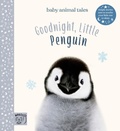 Cover: Goodnight, Little Penguin - Magic Cat Publishing
