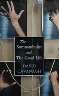 Cover: The Somnambulist and the Good Life - Salmon Poetry