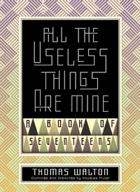 Enlarge image Cover: All the Useless Things are Mine - Sagging Meniscus Press