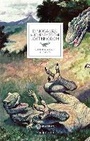 Cover: Dinosaurs - Flammarion