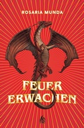 Cover: Feuererwachen - Arctis