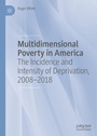 Cover: Multidimensional Poverty in America - Palgrave Macmillan