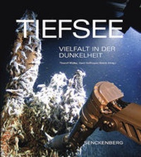 Abbildung von: Tiefsee - Schweizerbart'sche, E.