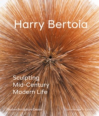 Abbildung von: Harry Bertoia - Scheidegger & Spiess