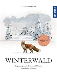 Abbildung von: Winterwald - Kosmos