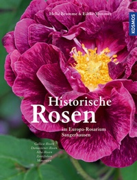 Abbildung von: Historische Rosen Band 1 - Kosmos