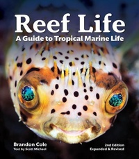 Enlarge image Cover: Reef Life - Firefly Books Ltd