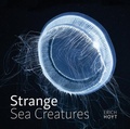 Cover: Strange Sea Creatures - Firefly Books Ltd