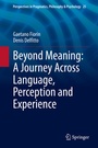 Cover: Beyond Meaning: A Journey Across Language, Perception and Experience - Springer
