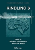 Cover: Kindling 6 - Springer
