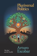 Cover: Pluriversal Politics - De Gruyter