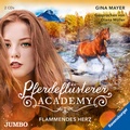Cover: Pferdefl&uuml;sterer-Academy. Flammendes Herz - Jumbo