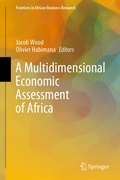 Cover: A Multidimensional Economic Assessment of Africa - Springer