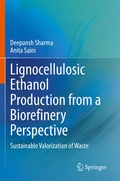 Cover: Lignocellulosic Ethanol Production from a Biorefinery Perspective - Springer