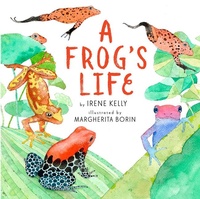 Enlarge image Cover: A Frog's Life - Holiday House Inc
