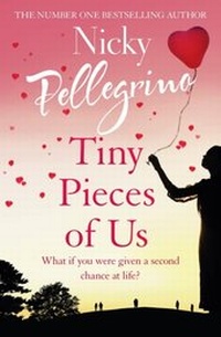 Abbildung von: Tiny Pieces of Us - Orion