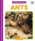 Cover: Ants - Cody Koala