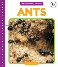 Enlarge image Cover: Ants - Cody Koala