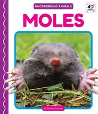 Enlarge image Cover: Moles - Cody Koala