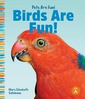 Cover: Birds Are Fun! - SandCastle
