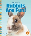 Cover: Rabbits Are Fun! - SandCastle