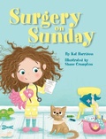 Cover: Surgery on Sunday - Warren Publishing, Inc