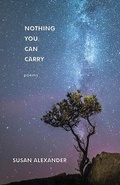 Cover: Nothing You Can Carry - Thistledown Press