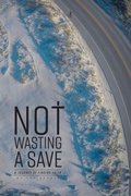Cover: Not Wasting a Save - WestBow Press