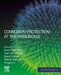 Cover: Corrosion Protection at the Nanoscale - Elsevier